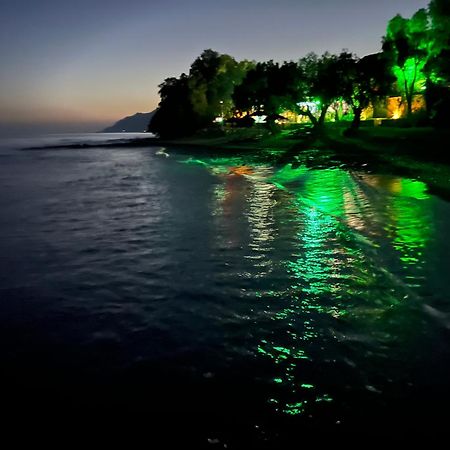 Nikkon Luxury Living Villa Arvi  Buitenkant foto