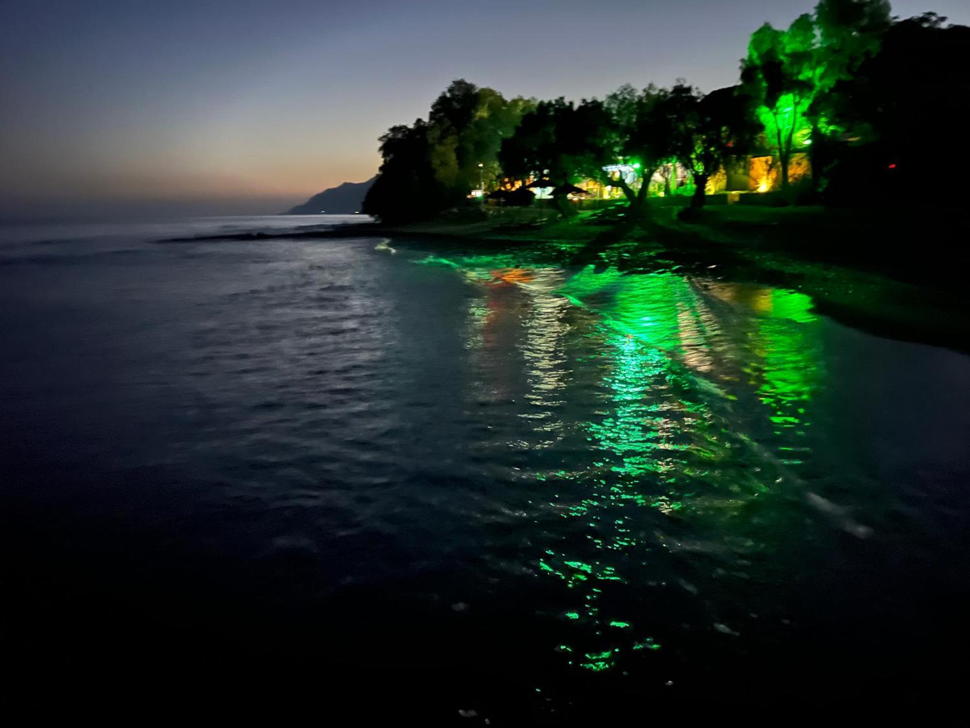 Nikkon Luxury Living Villa Arvi  Buitenkant foto