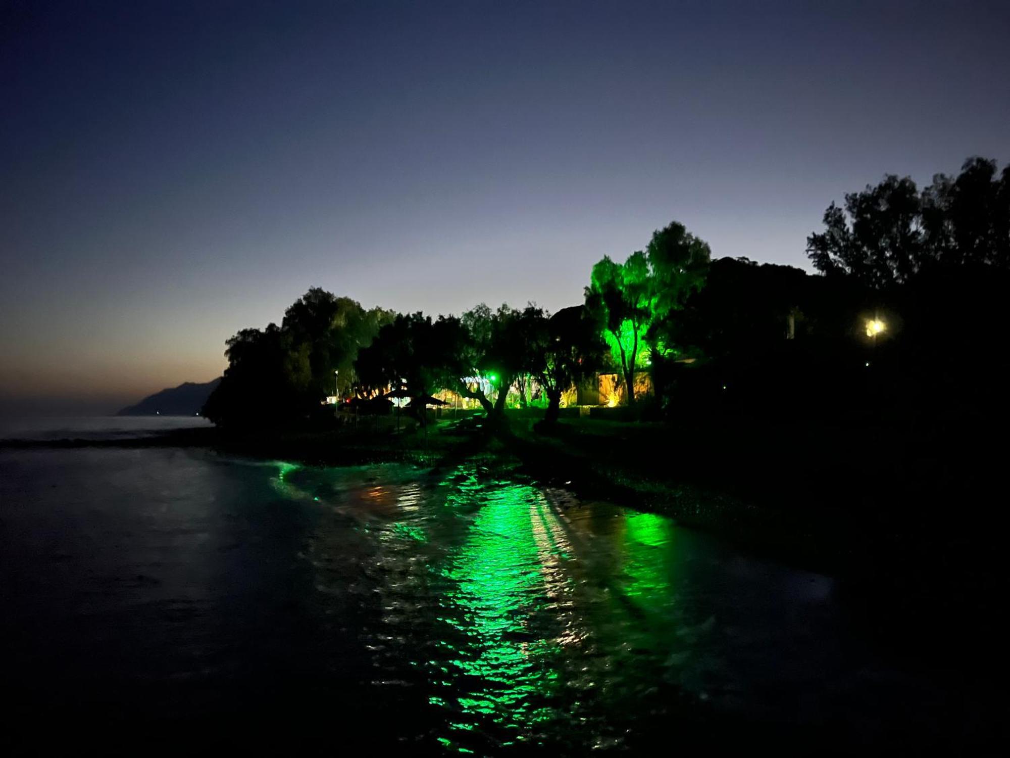 Nikkon Luxury Living Villa Arvi  Buitenkant foto